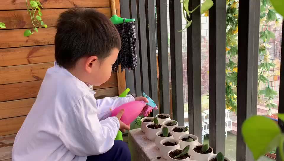 我们的植物角