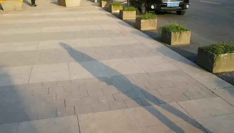聪明的你们9