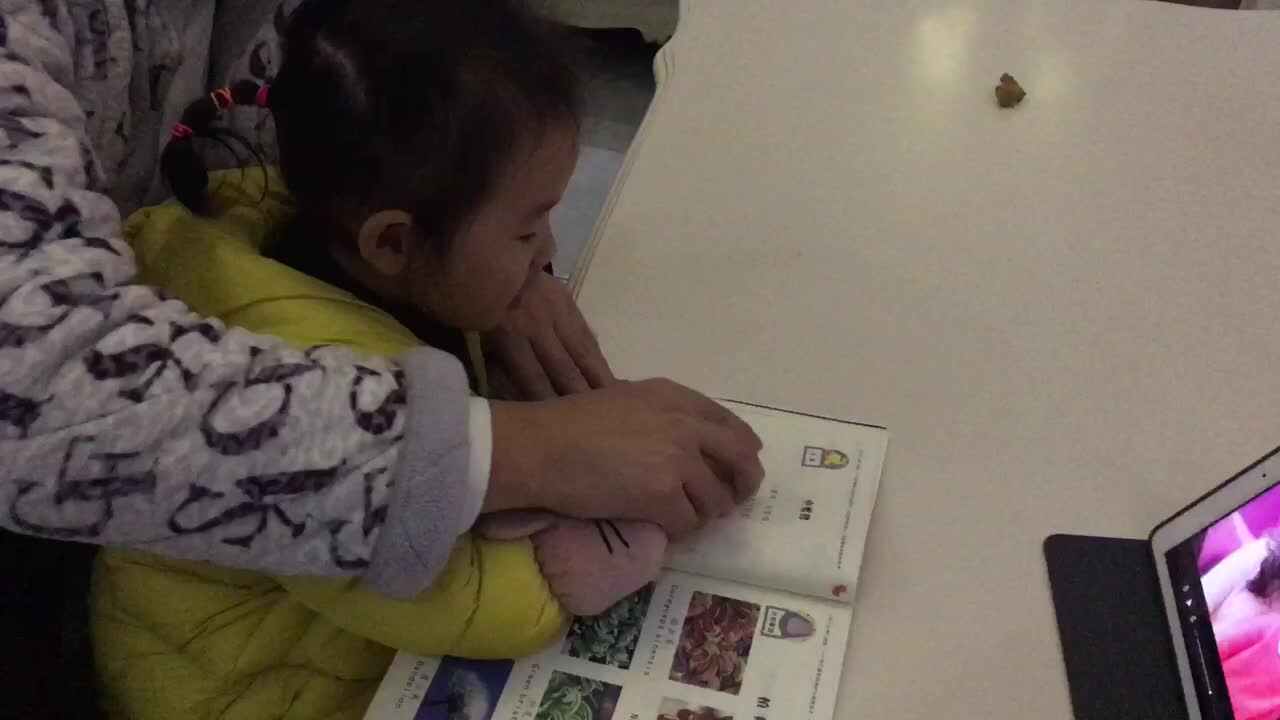 12月10日—《指读小蜜蜂》——张睿瑾
