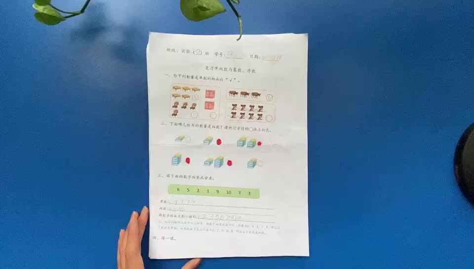33号学习单反馈