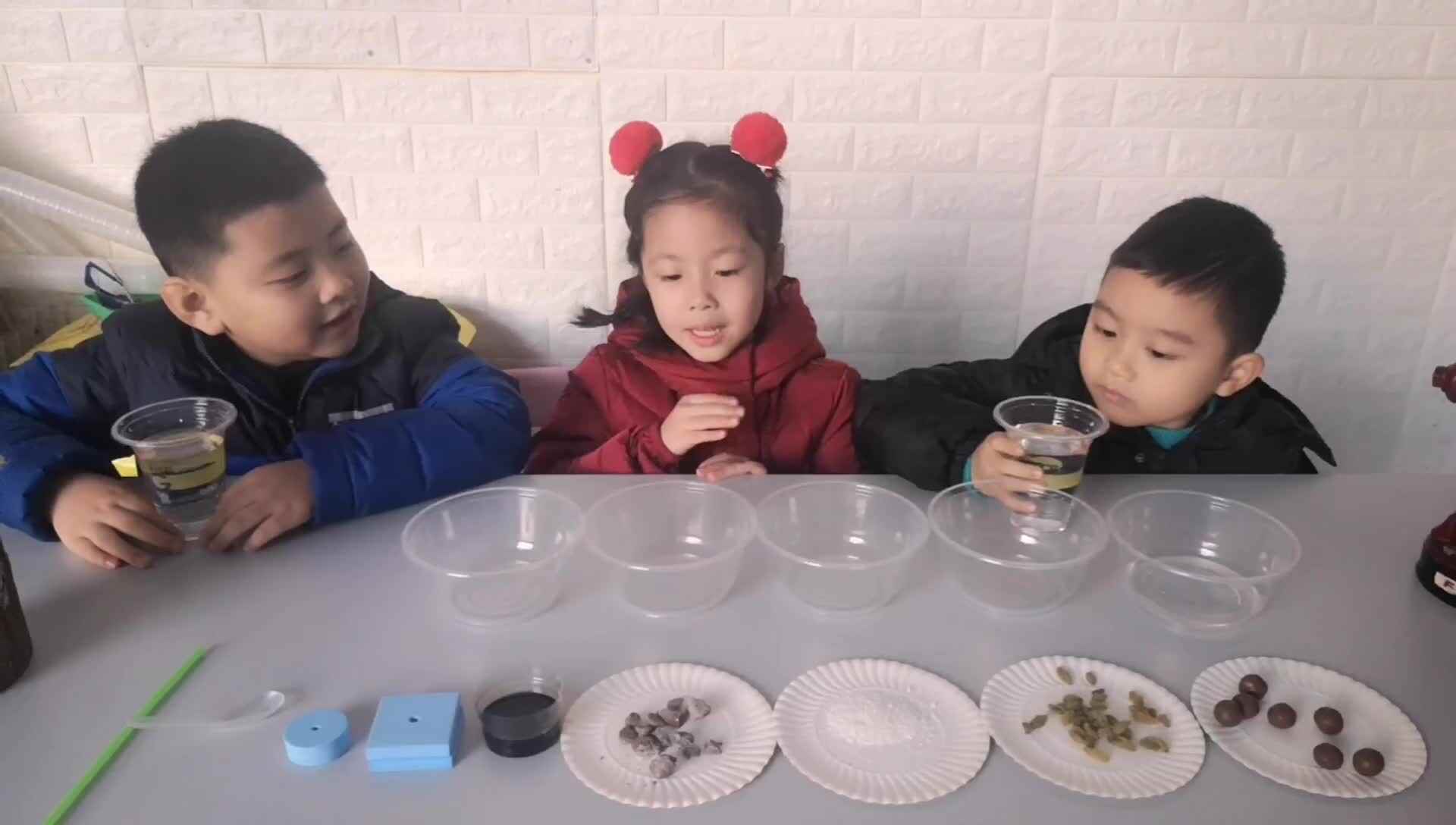 2019.12.6《溶解的秘密》知识点