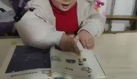 大B班郑文萍反义词