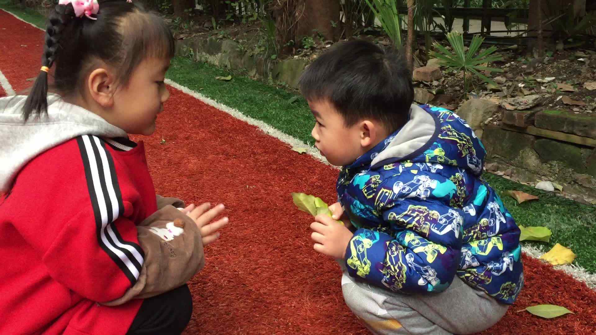 幼儿日常
