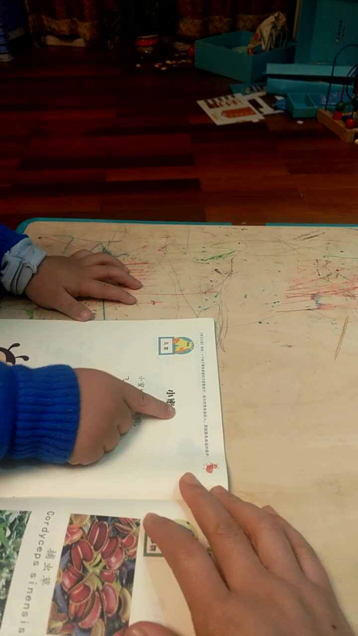 video_20191211_211814.mp4