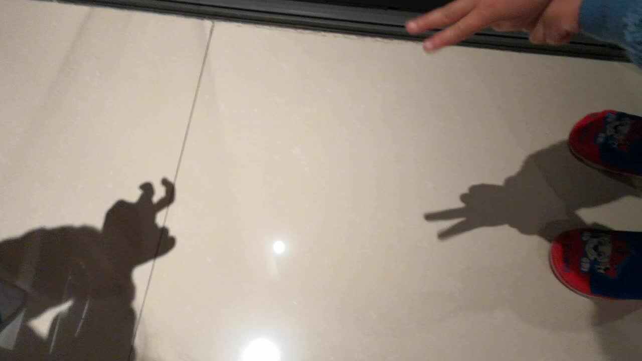 影子游戏