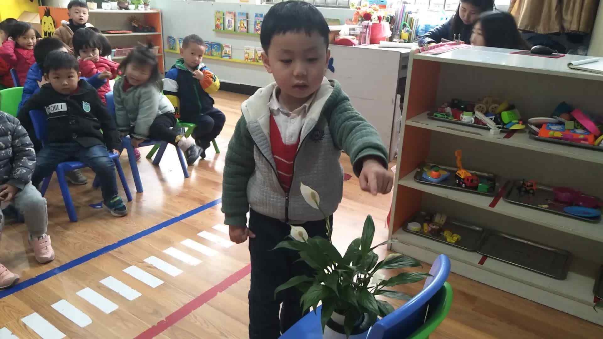 数一数