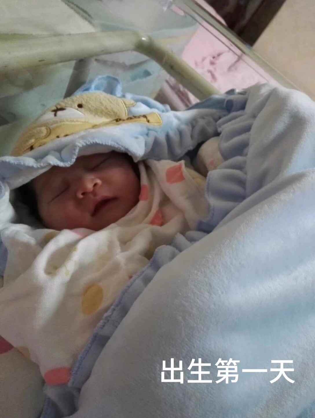 陈昱彤成长记