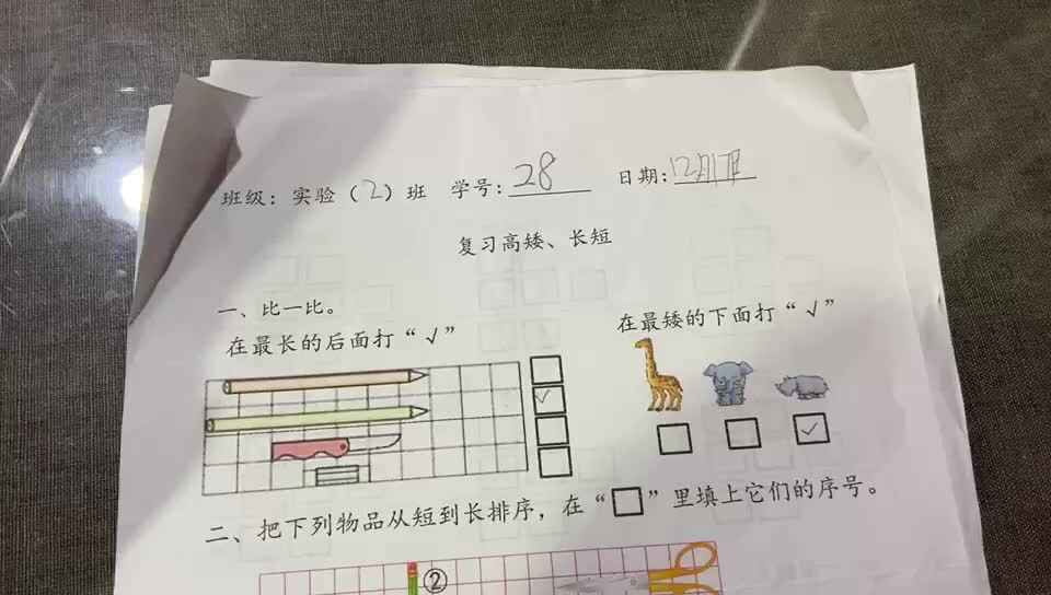 28号学习单反馈