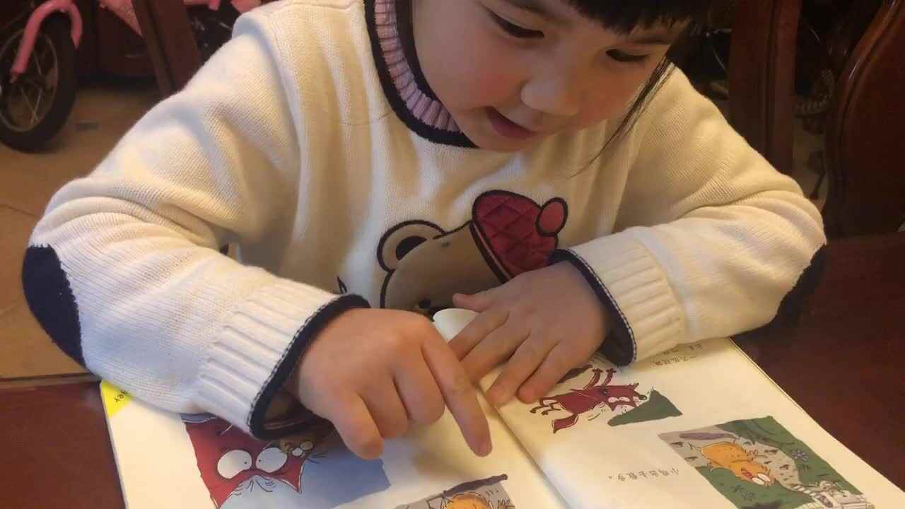复习聪明的小鸡