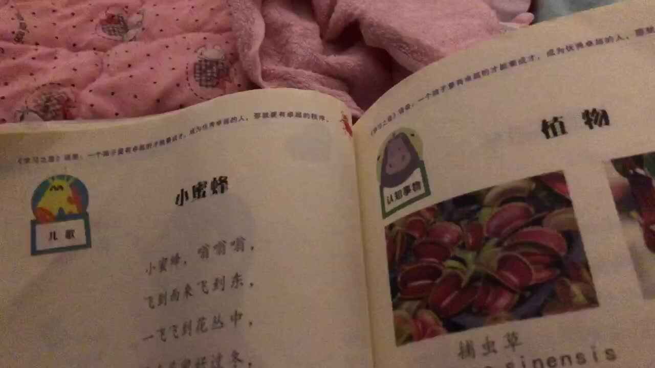 张嘉倪作业