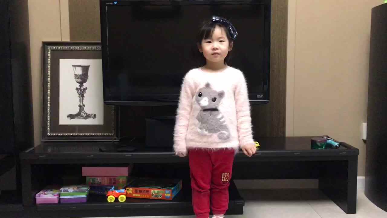 大B班—理解成语意义—刘旖茉.MOV