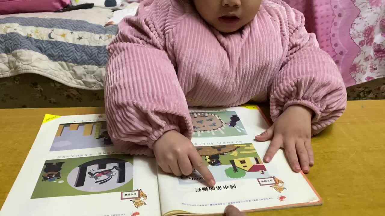熊小弟的栅栏
