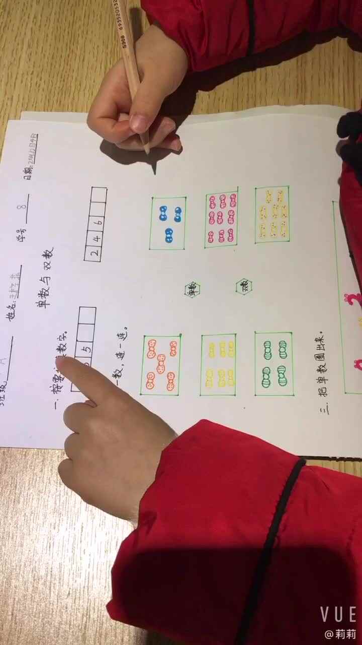 单数与双数