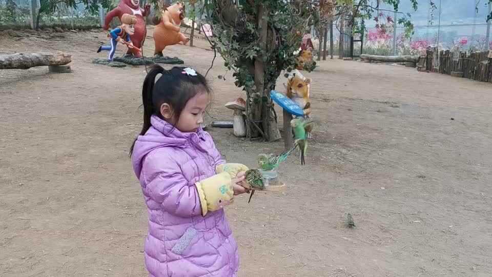 2019-12-29 大A班 刘佳钰-周末时光