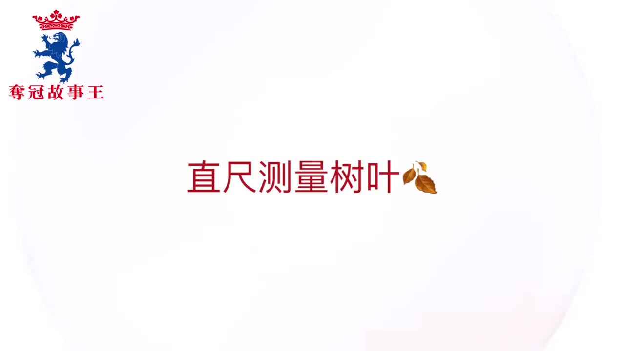 夺冠故事王第66场参赛作品《直尺测量树叶》