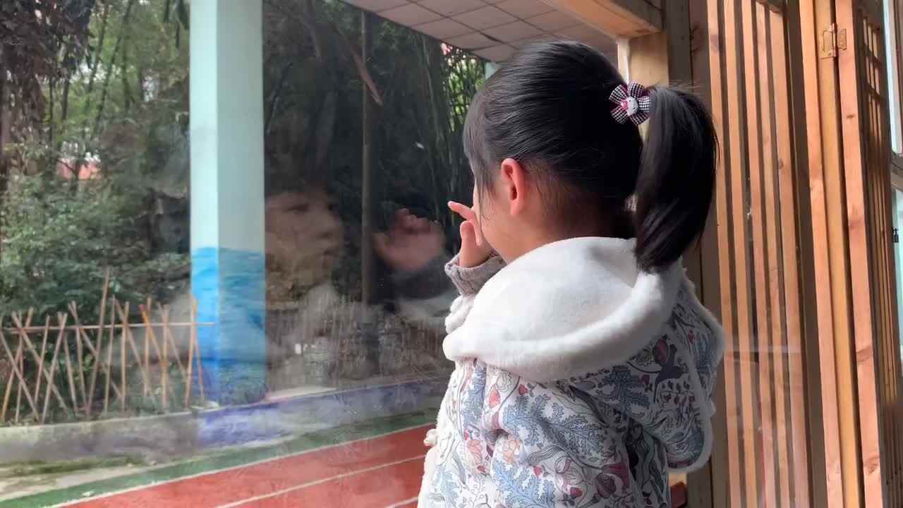 我爱学习——复韵母an