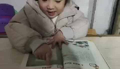 大B班郑文萍成语接龙