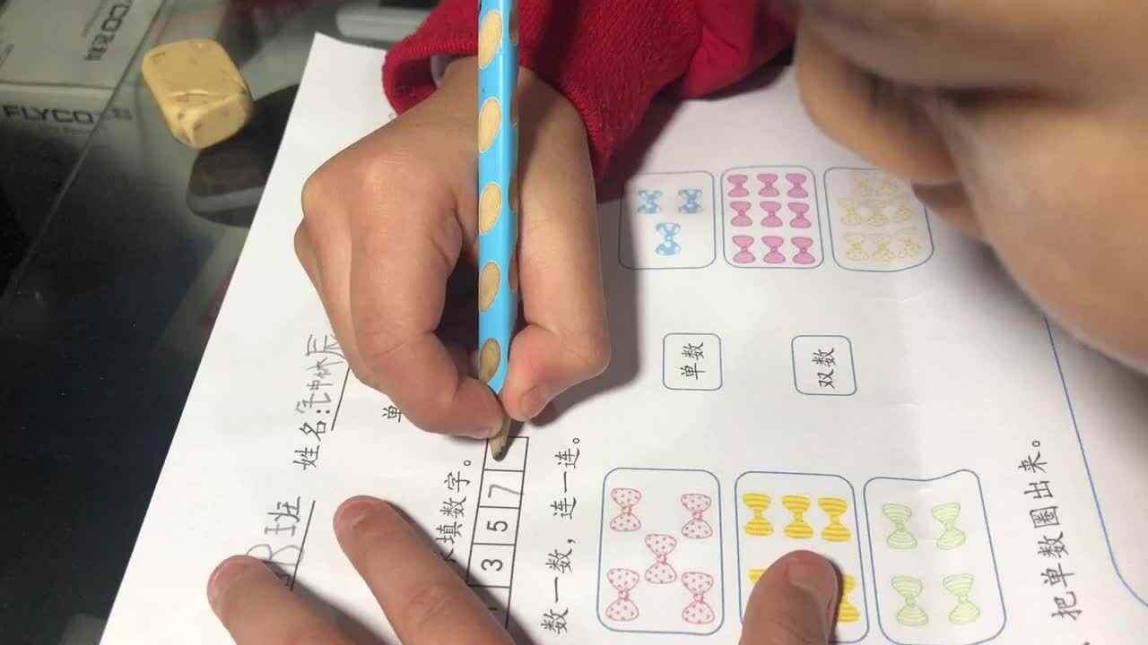单数与双数