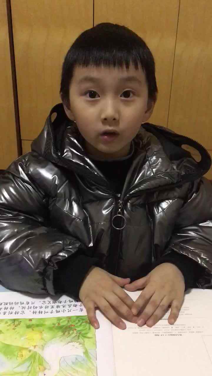 会跳舞的鸭子