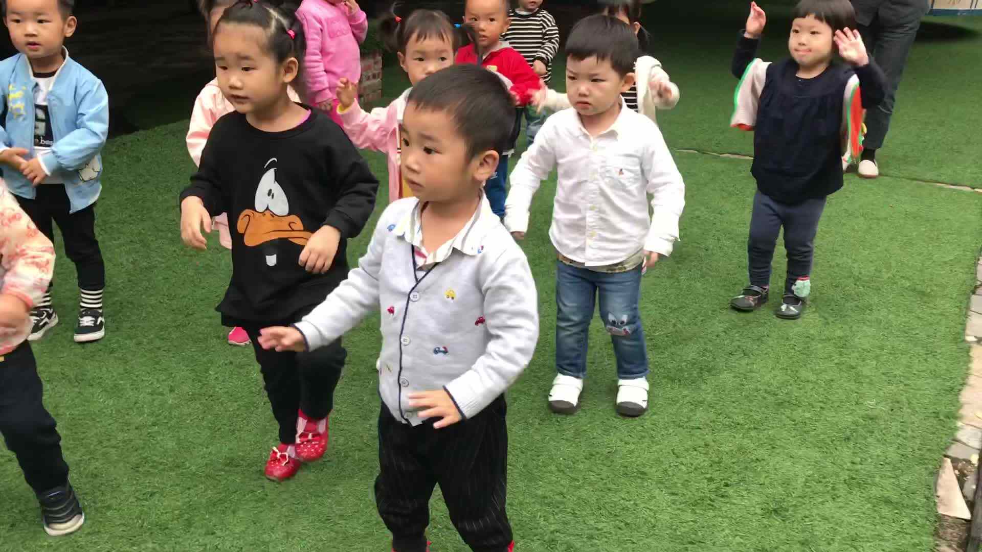 行动课程-运动与旋律