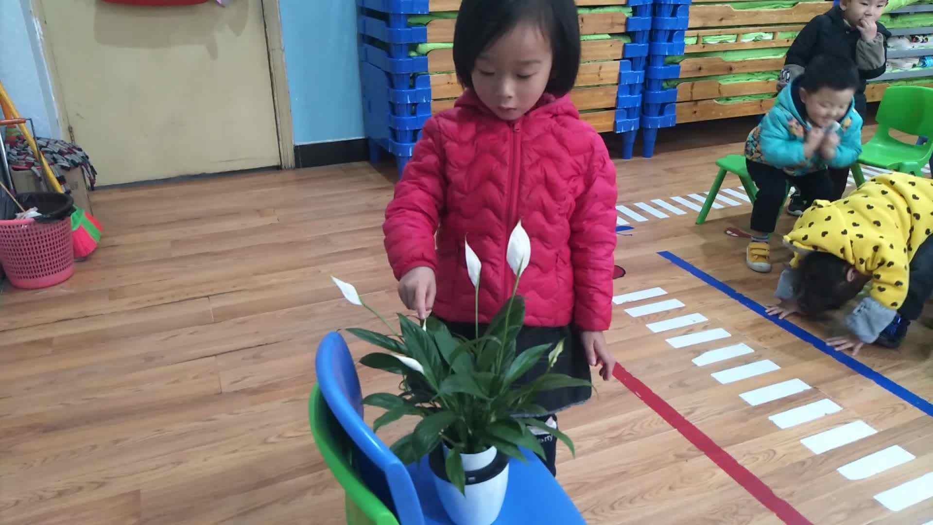 数一数 (2)