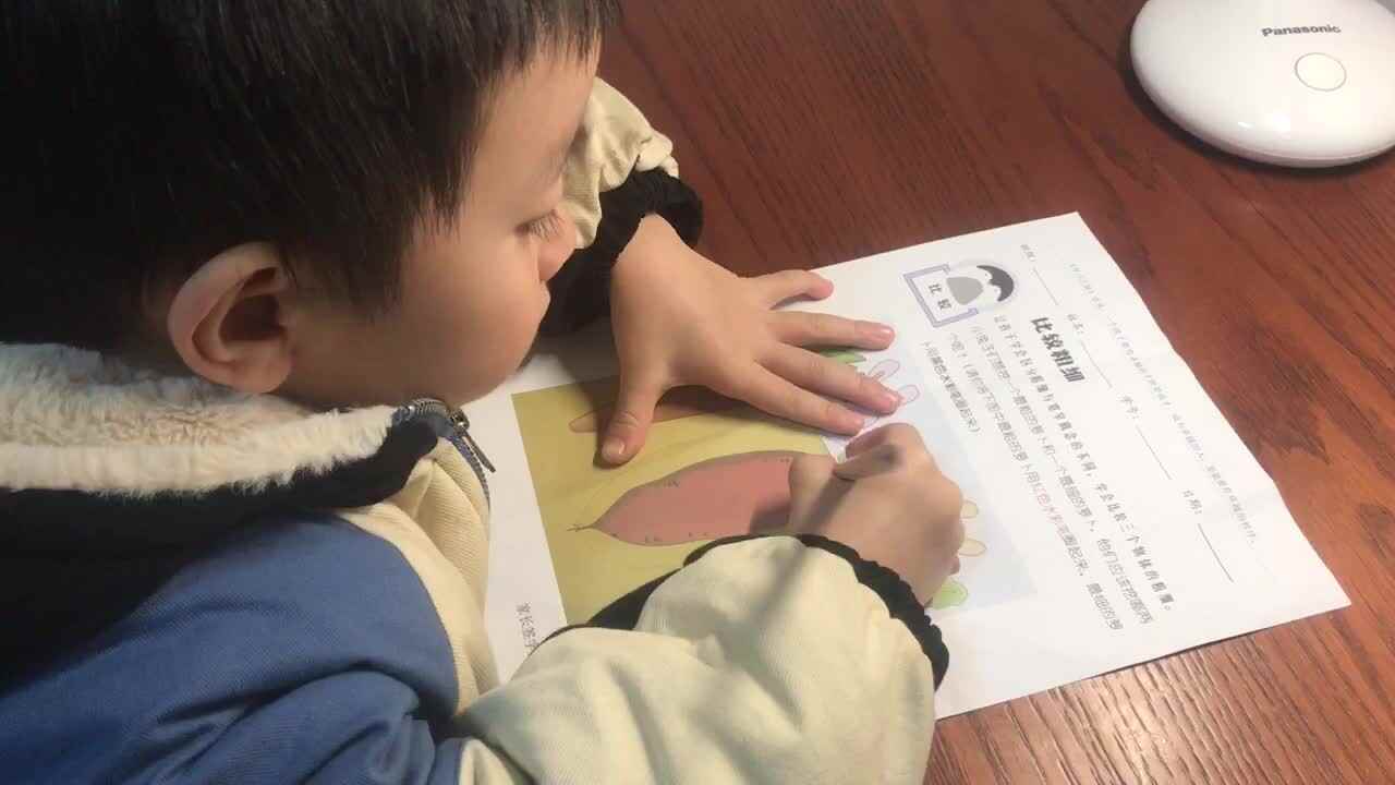 中A班、陈桎锌、29号