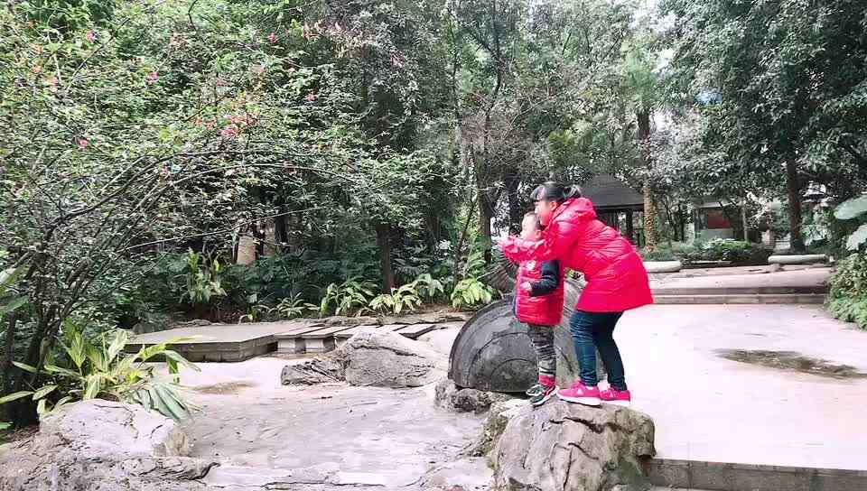 简单的快乐8