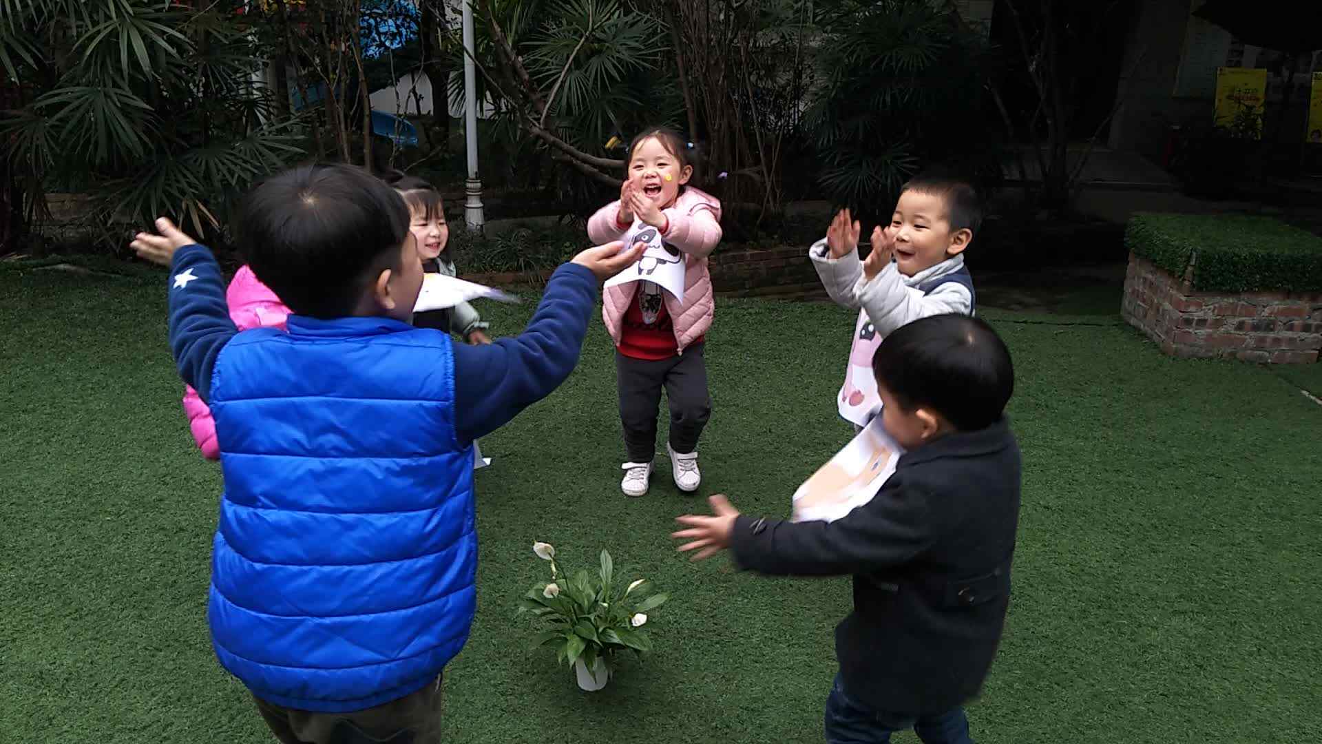 马蹄莲开花了 2
