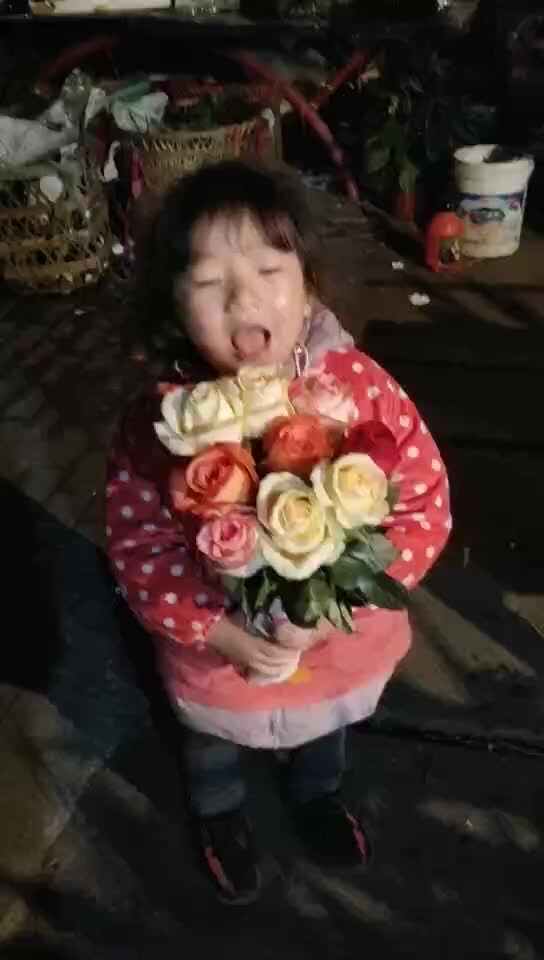 欢乐时刻24