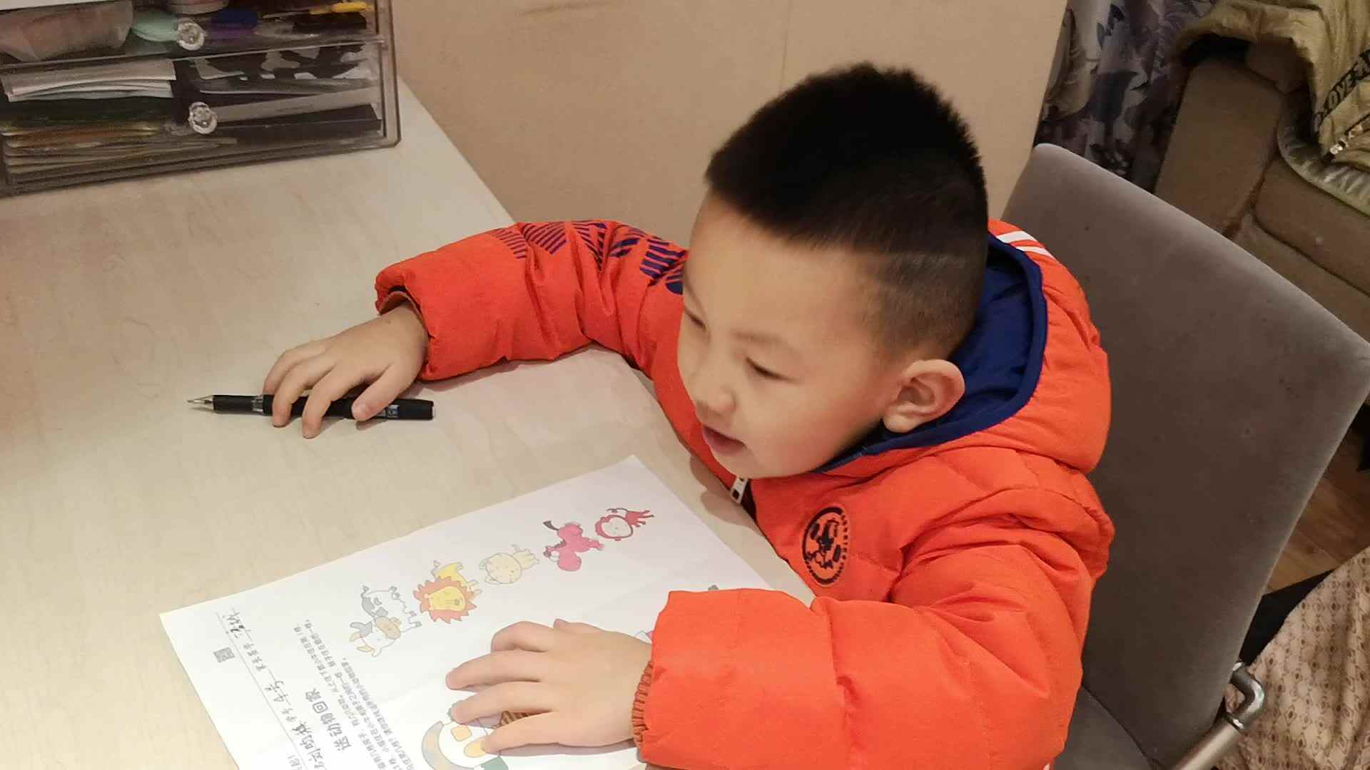 2019.12.2大A班刘昀稹小朋友家庭作业—《送小动物回家》