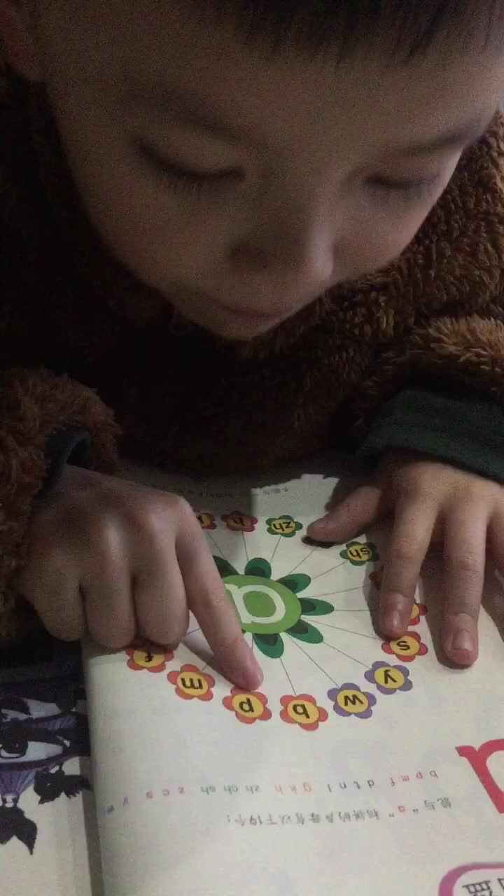韵母的复习