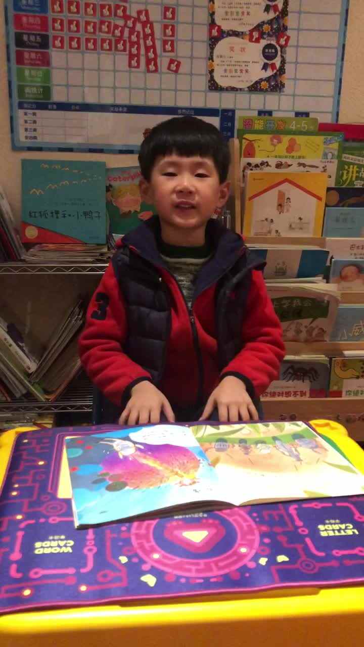 我是一只小虫子