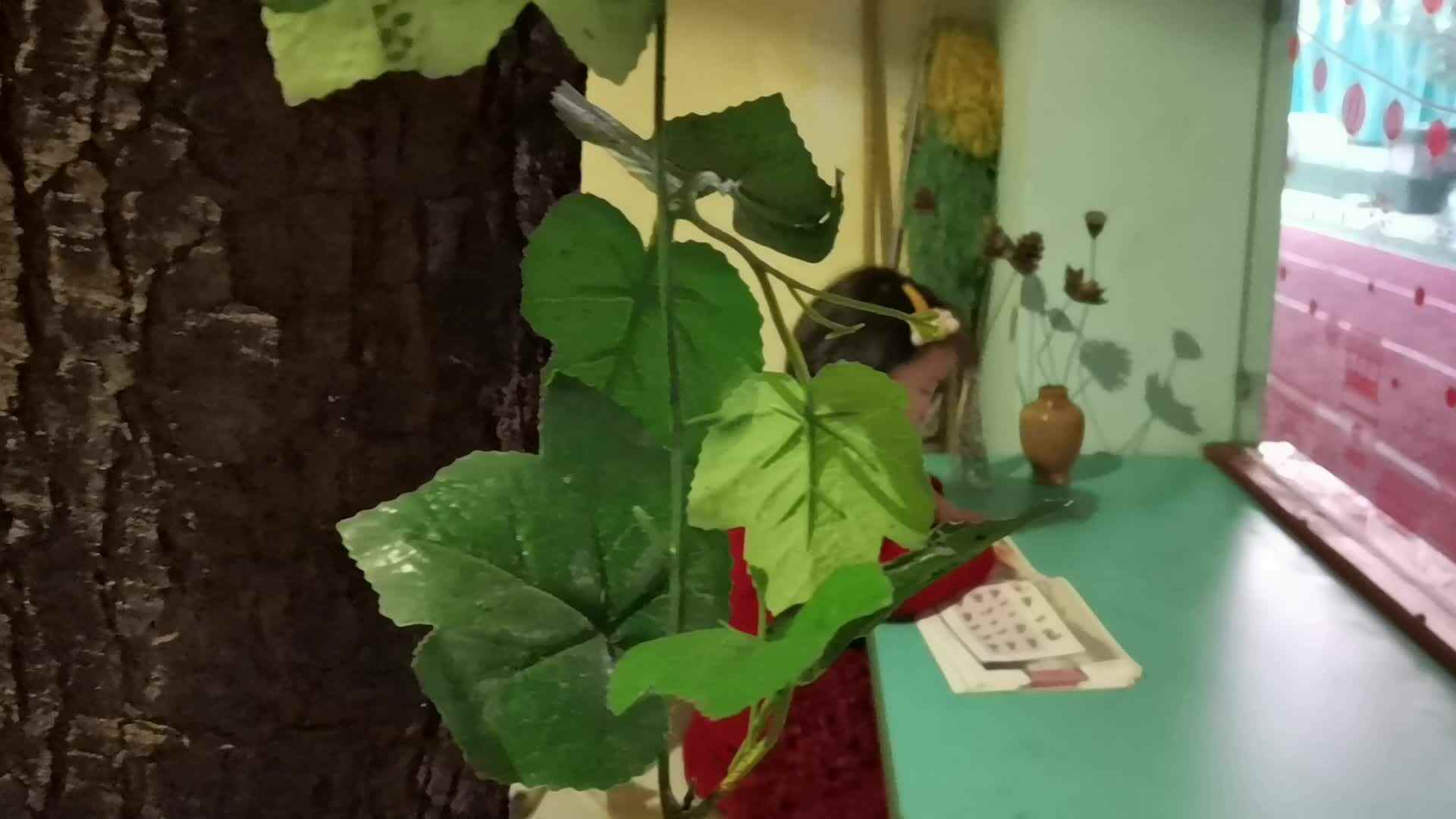 猜猜我在干嘛