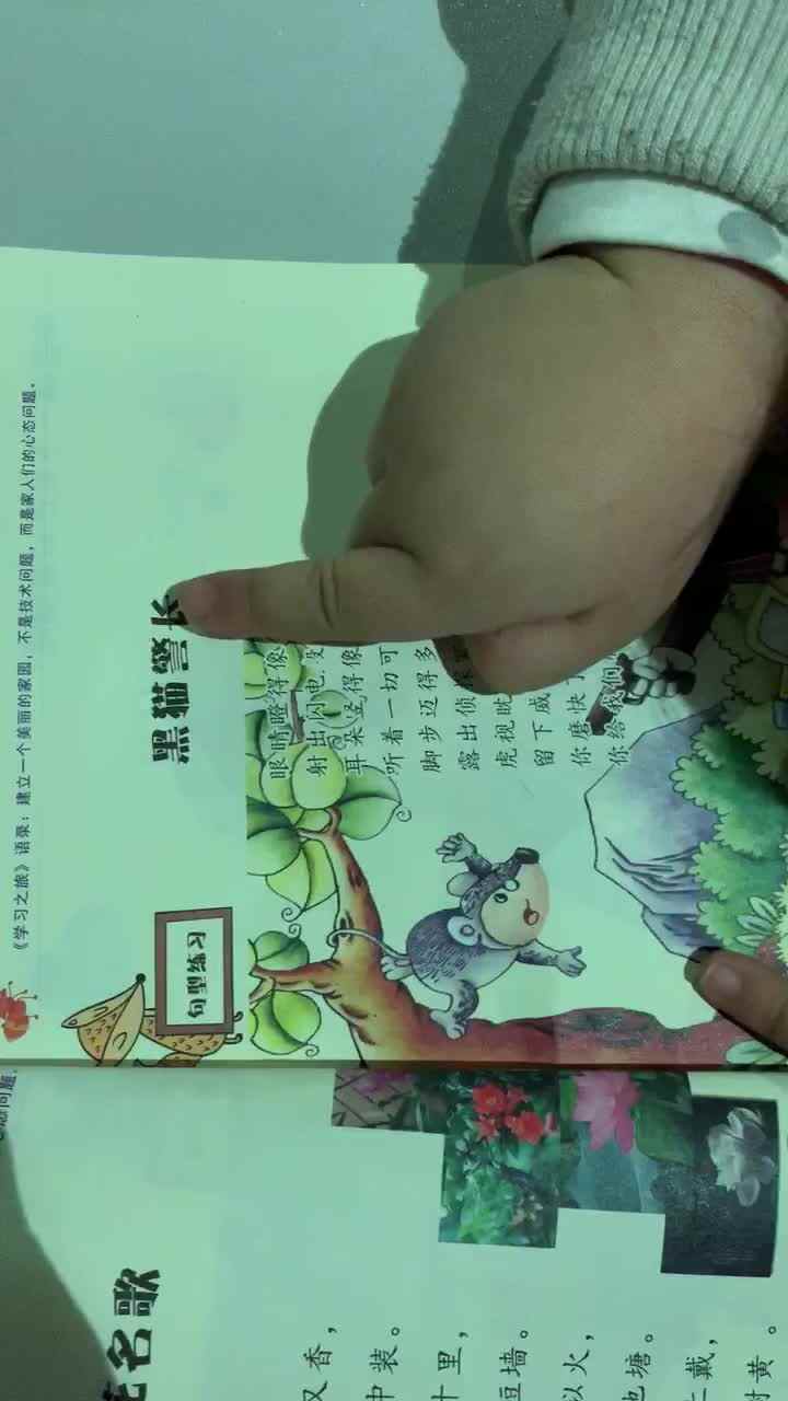 大B班郑文萍康复黑猫警长
