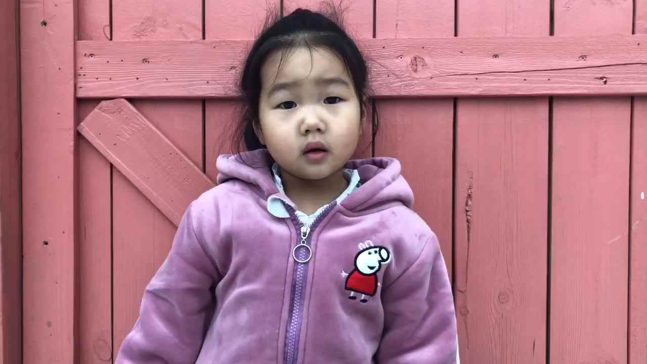 鹬蚌相争