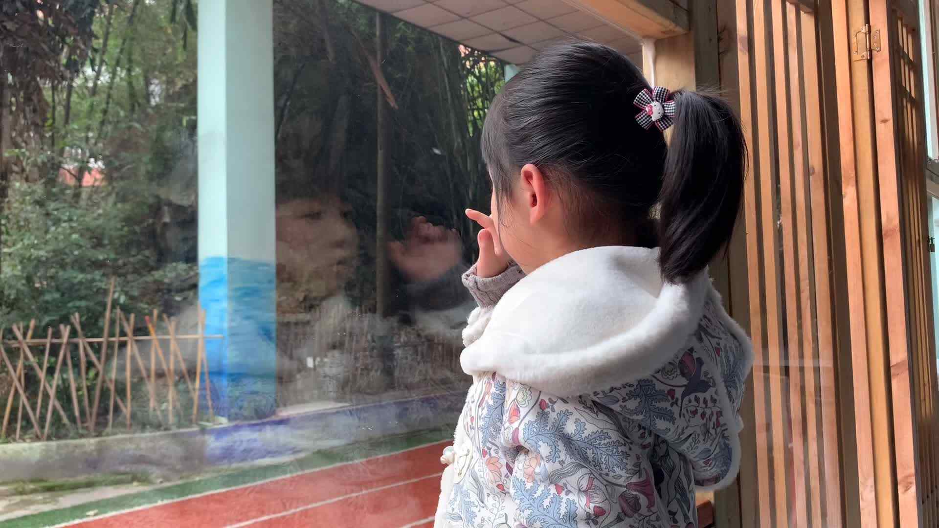 我爱学习——复韵母