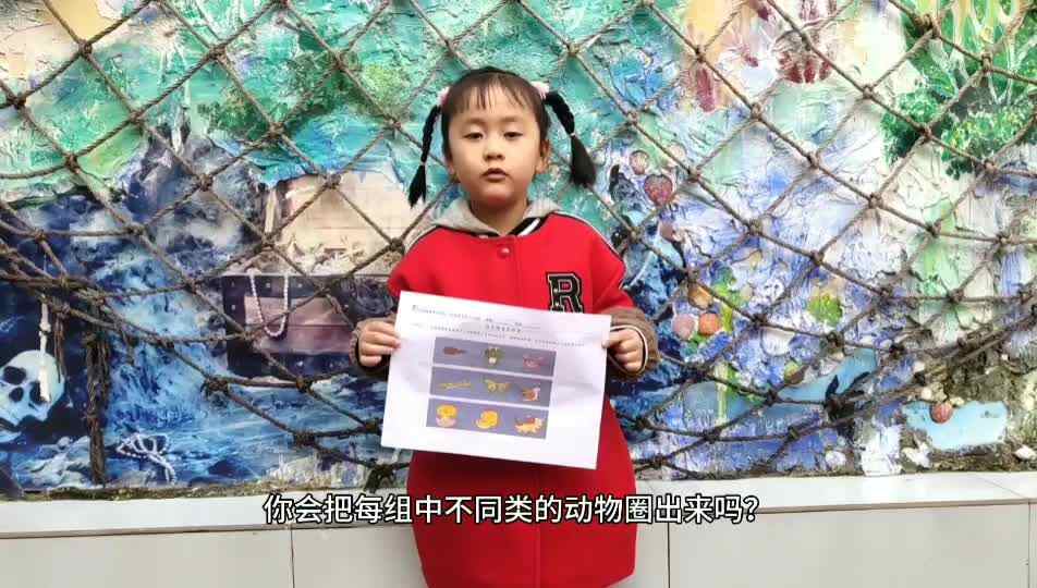 按逻辑关系分类