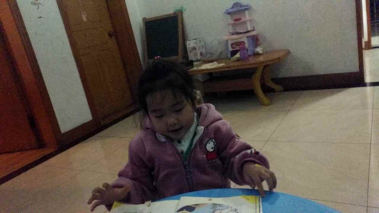 鹬蚌相争