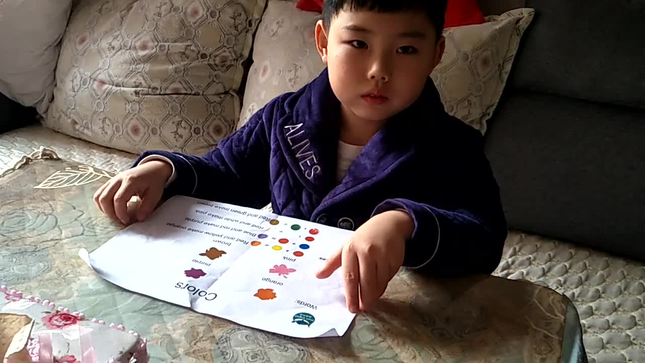12月1日的鲨鱼英语作业Colors.mp4