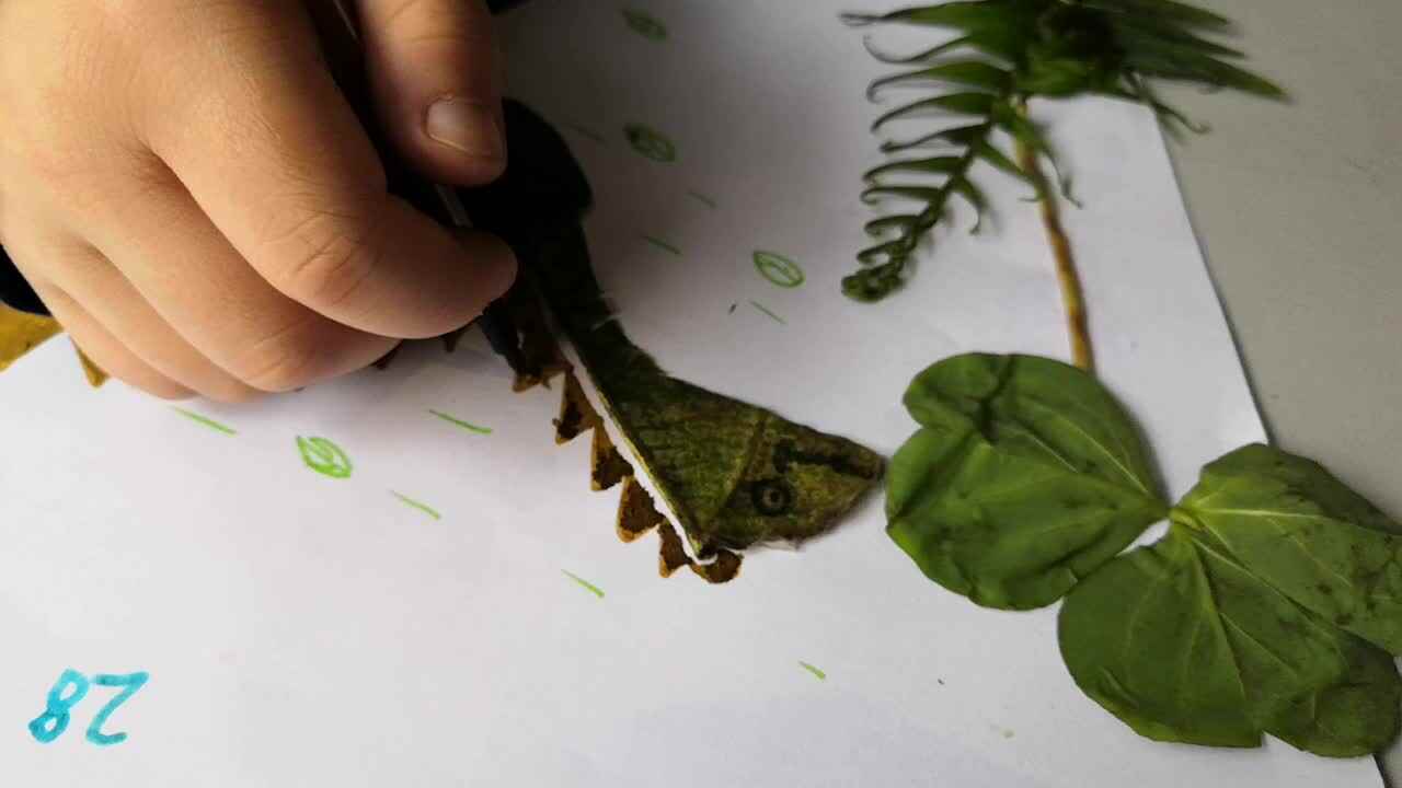 树叶画