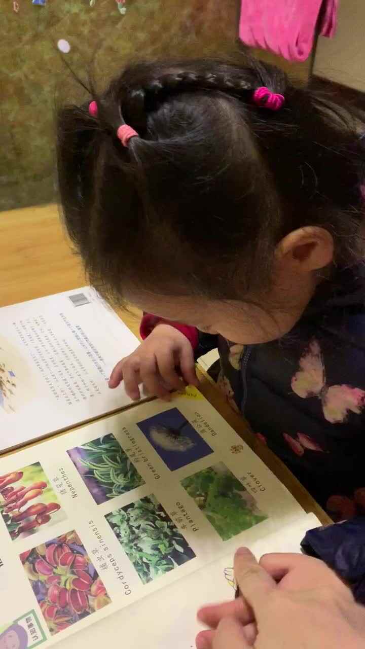 认植物