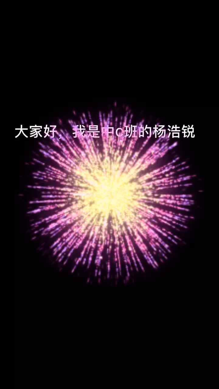 中C班杨浩锐《自嗨少年》