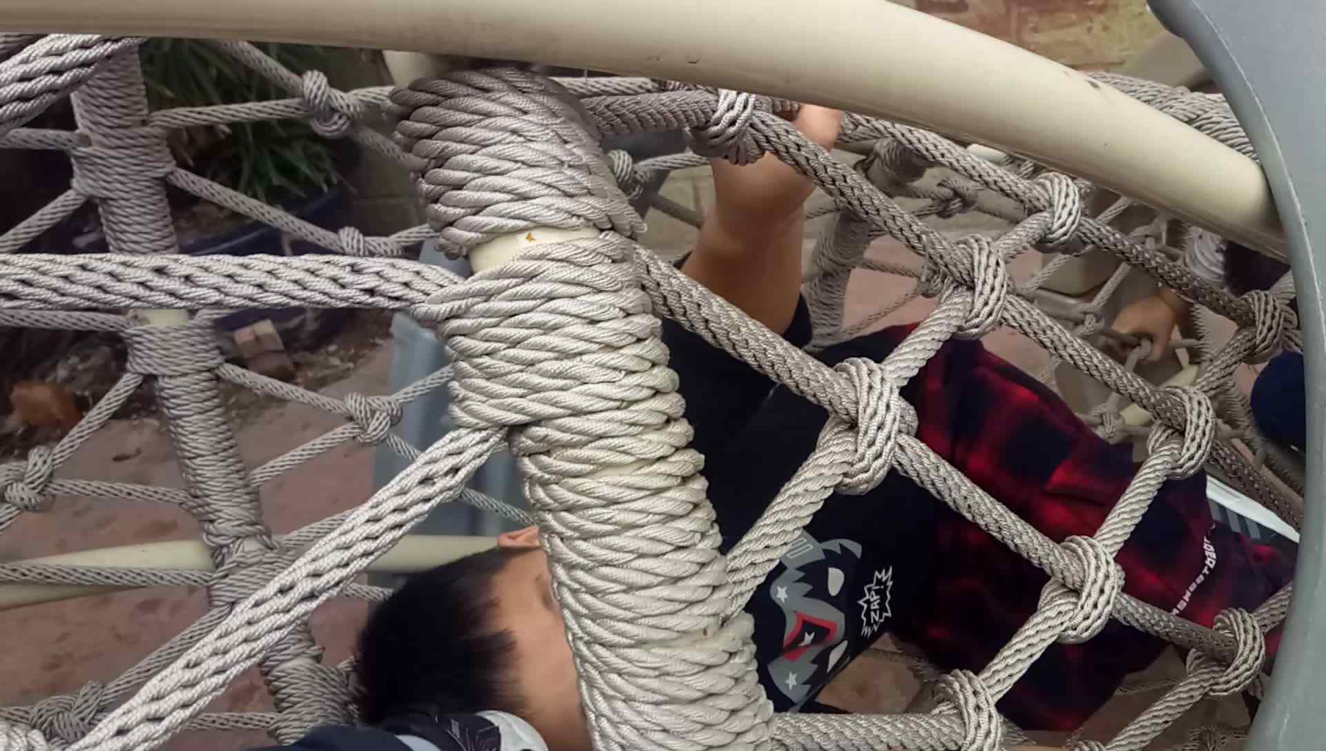 红果果4