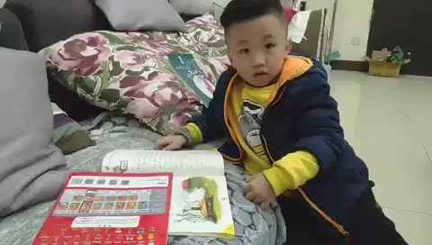 对牛弹琴