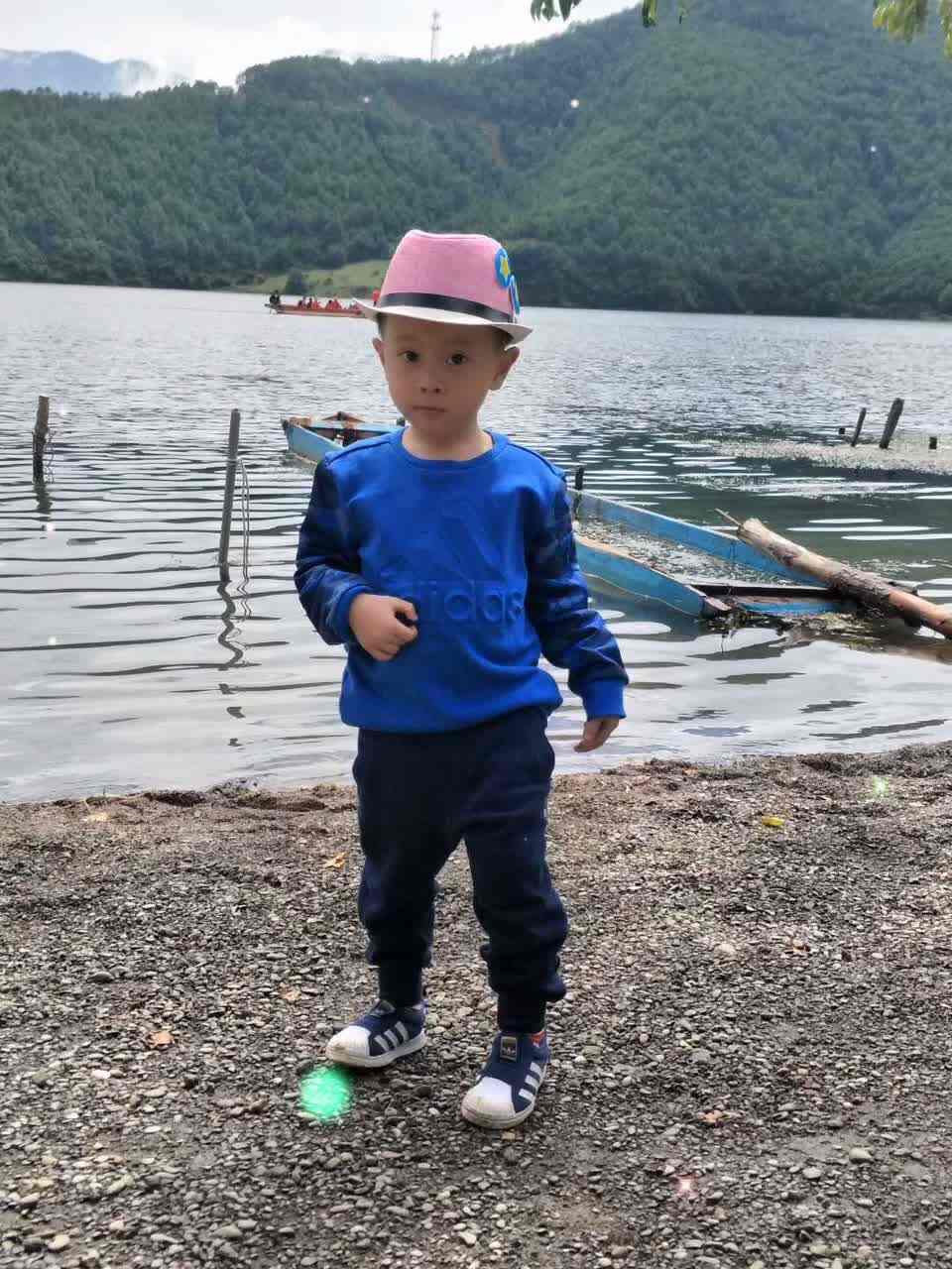 快乐的豪豪