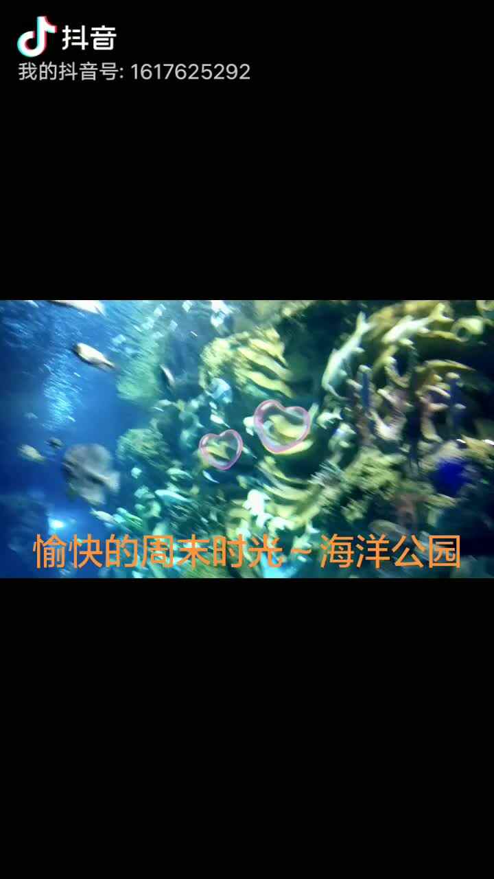 2019-12-29大A班冉皓宇《愉快的周末时光》