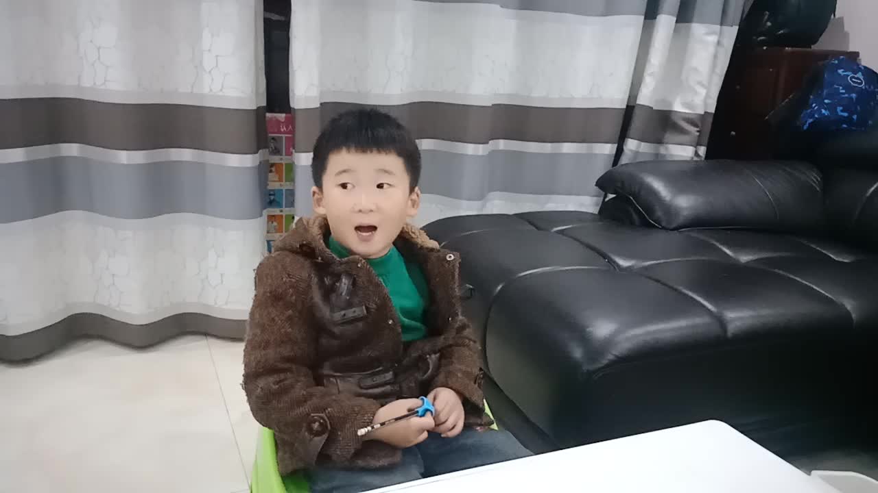 2019.12.02大A班冉皓宇《送动物回家》