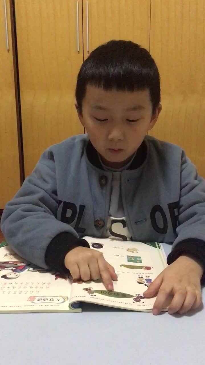 复习：复韵母ai ei ui ao