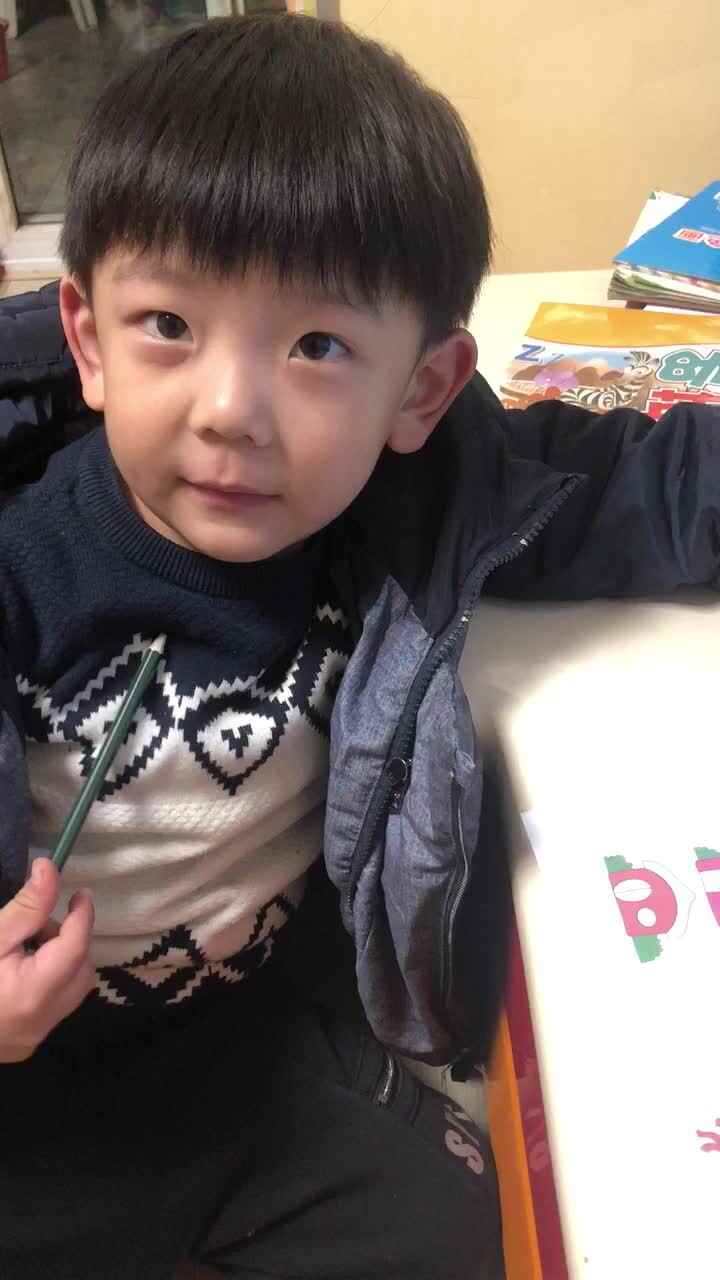 2019.12.2-大A班-彭胤然-送小动物回家