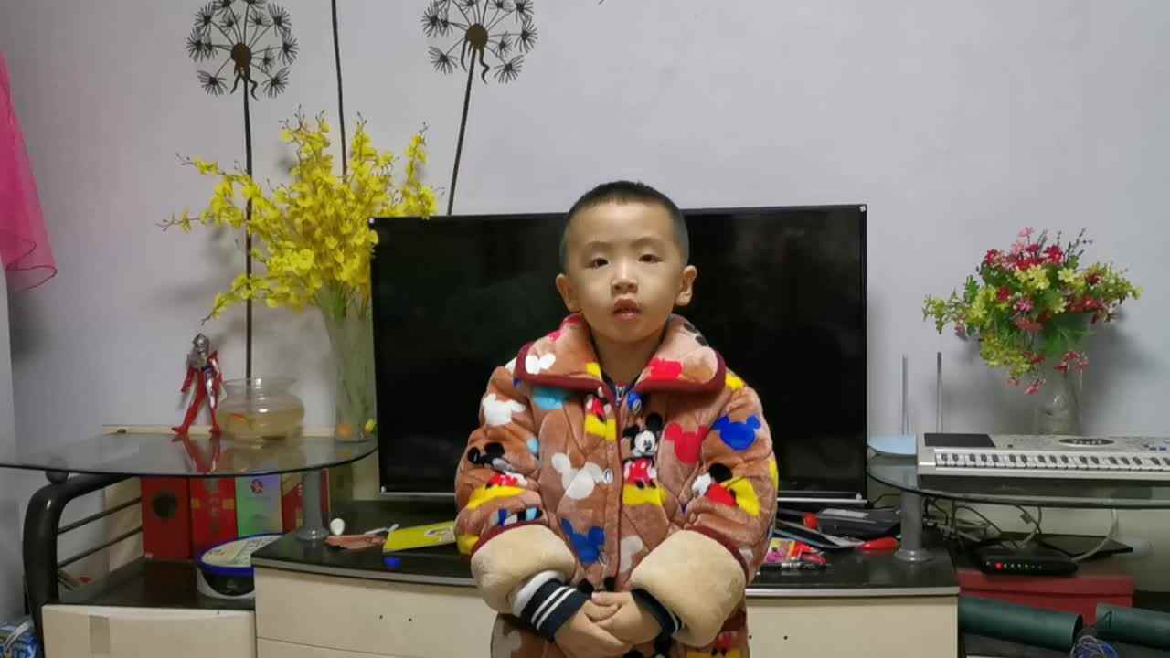 2019.12.2大A班侯忠宪小朋友—送动物回家1
